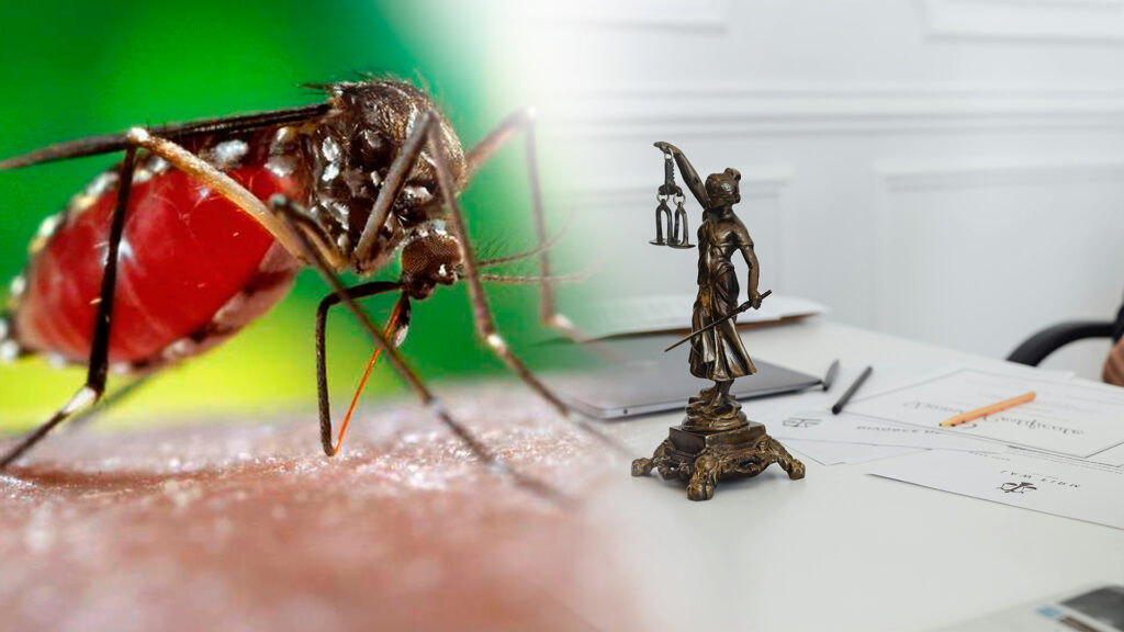 Nova Lei Garante Indenização e Pensão Especial a Pessoas com Deficiência Permanente Decorrente do Vírus Zika